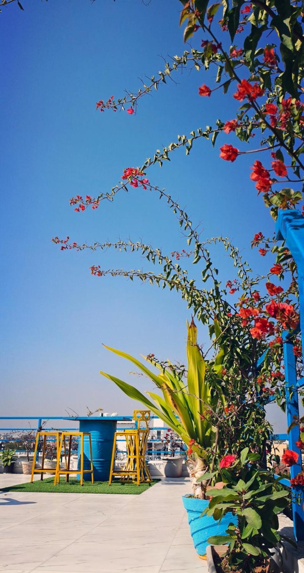 The Coral House Homestay By The Taj Agra  Eksteriør billede
